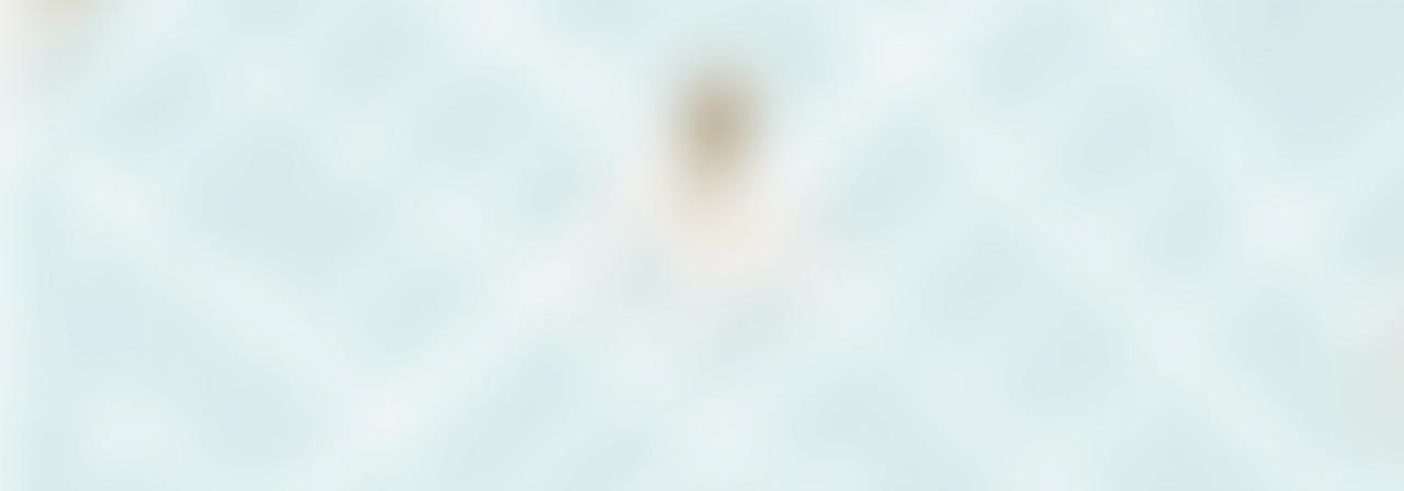 Mappa che indica la posizione di Vetta Brinata a Torino.